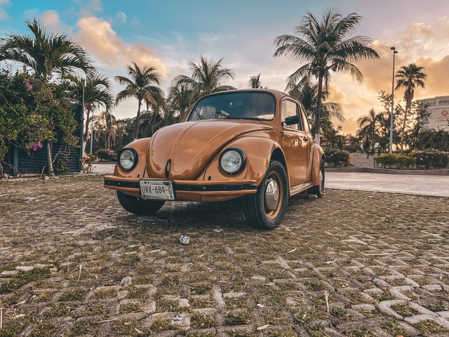 VW Beetle Old